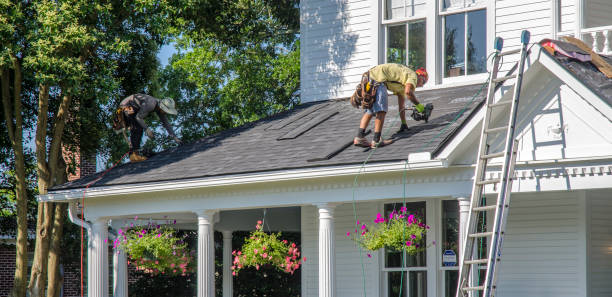 Roof Moss and Algae Removal in Schererville, IN